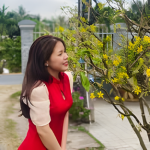 Như Ý